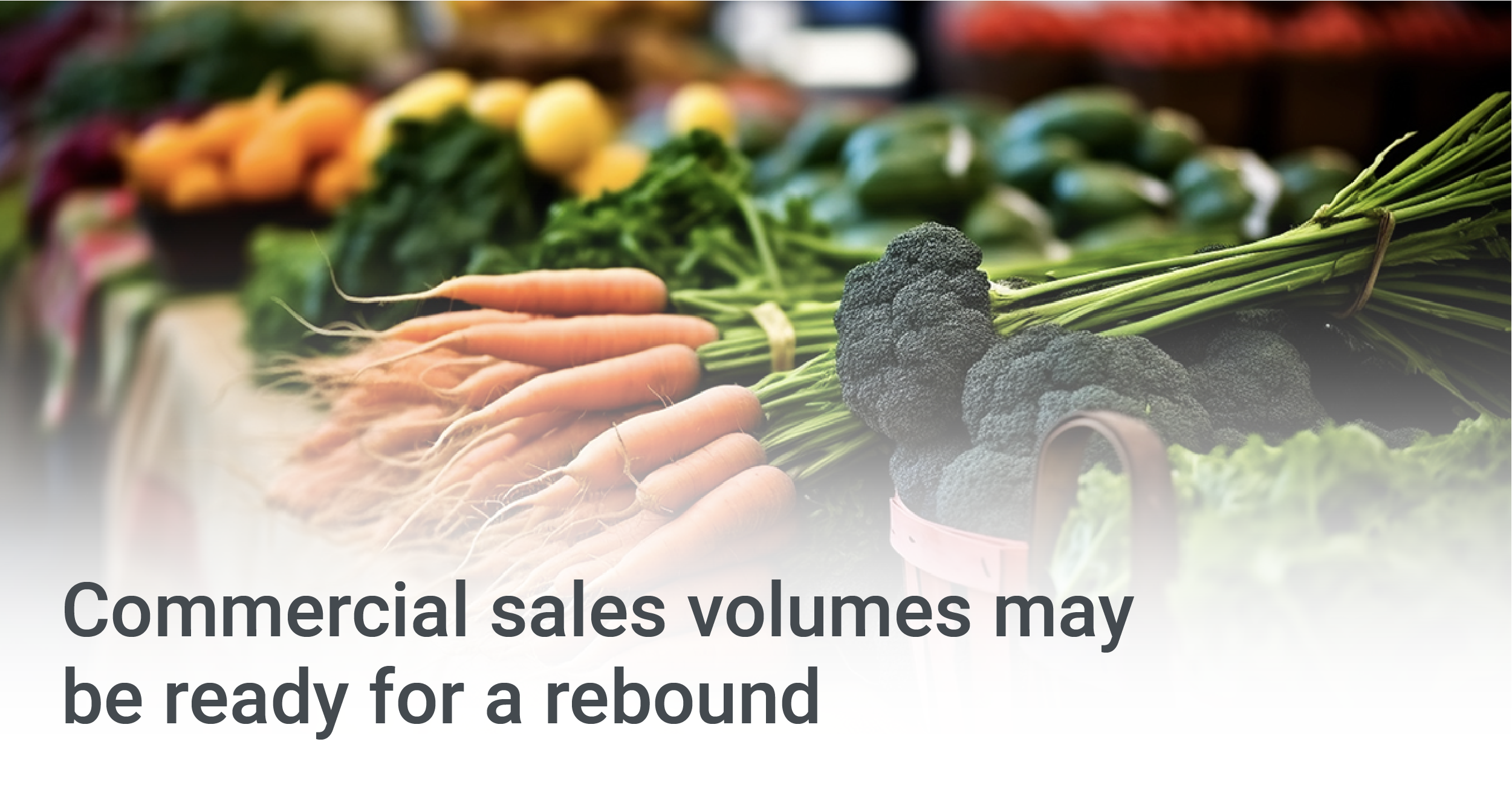 Commercial Sales Set To Rebound